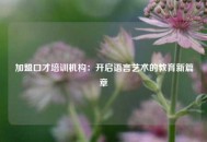 加盟口才培训机构：开启语言艺术的教育新篇章