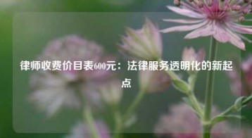 律师收费价目表600元：法律服务透明化的新起点