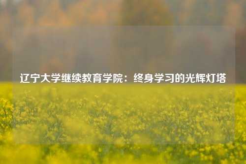 辽宁大学继续教育学院:终身学习的光辉灯塔