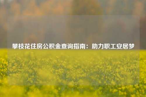 攀枝花住房公积金查询指南：助力职工安居梦
