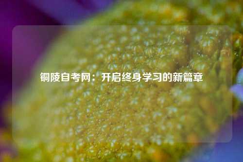 铜陵自考网：开启终身学习的新篇章