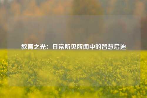 教育之光：日常所见所闻中的智慧启迪