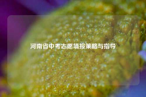 河南省中考志愿填报策略与指导