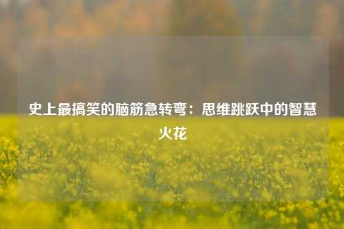 史上最搞笑的脑筋急转弯:思维跳跃中的智慧火花